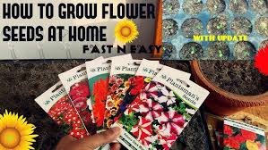 Flower Seeds